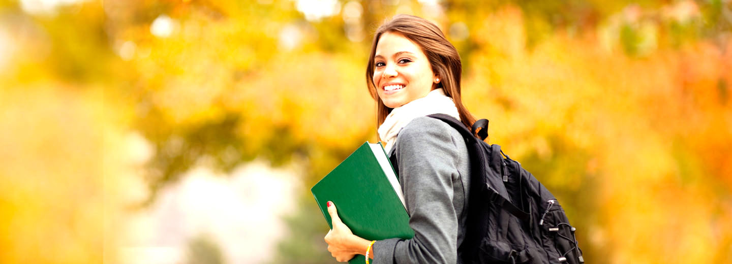 自动攻击网站工具下载